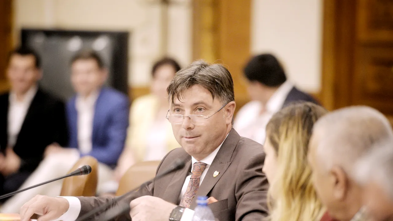 Comisia Juridică din Senat a respins cererea DNA de urmărire penală a ministrului Viorel Ilie. Cum s-a apărat demnitarul în faţa comisiei şi de unde a venit susţinerea