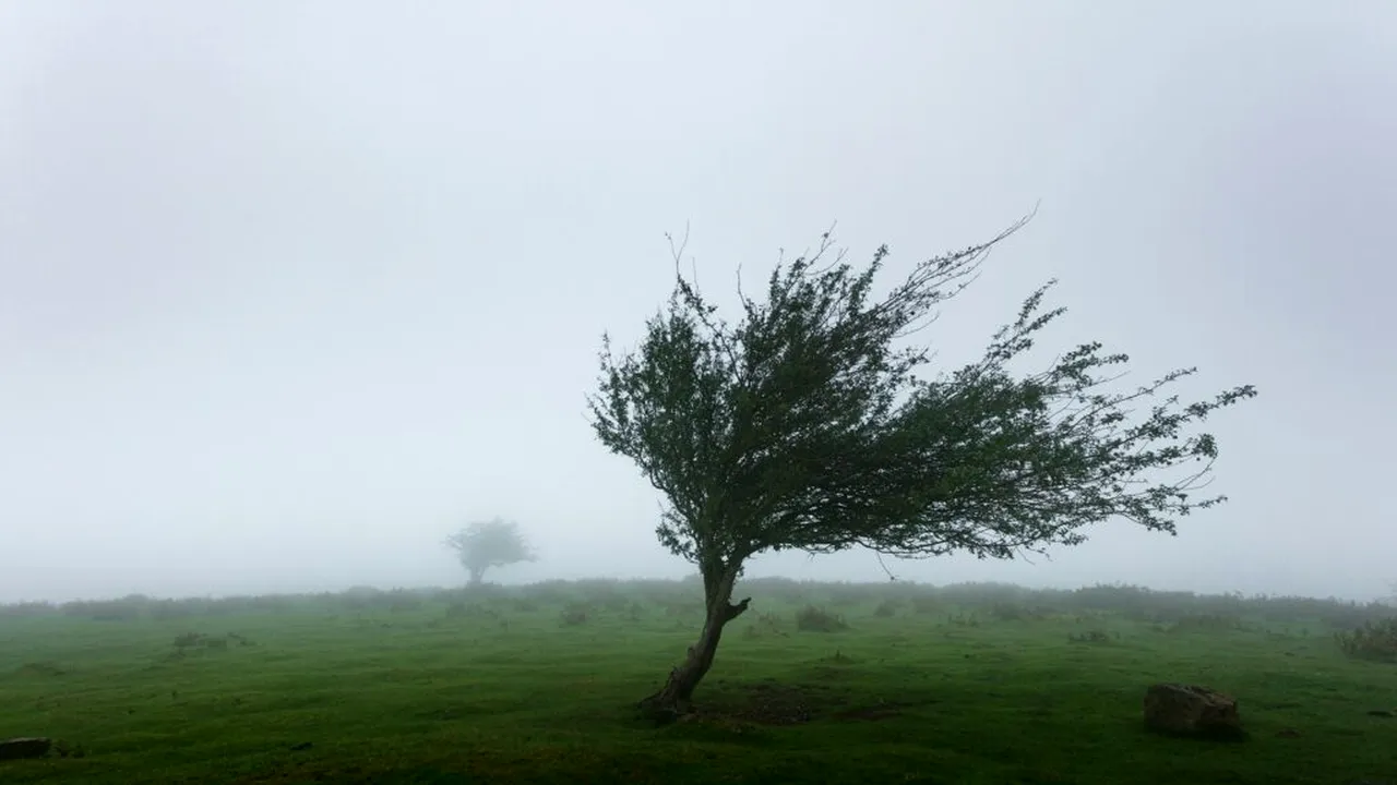 Avertizare ANM: Vânt puternic în mai multe județe din țară. Cod galben emis de meteorologi