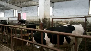 Cioloş: Sunt fermieri care renunţă la proiecte; funcţionarii APDRP să aibă o atitudine constructivă