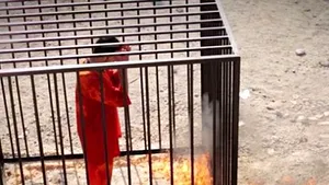 Gruparea Stat Islamic a ars de vii alţi trei ostatici. Cine sunt cei care au avut aceeaşi soartă ca pilotul iordanian