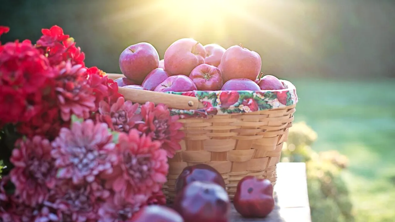 Natura ne-ar putea influența mai mult decât credeam. Legătura surprinzătoare cu alimentația