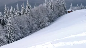 Un turist canadian s-a rătăcit în Masivul Postăvaru