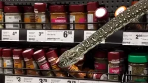 VIDEO Întâlnire neaşteptată cu un şarpe la supermarket. „Era la 20 cm de faţa mea, mă privea drept în ochi”