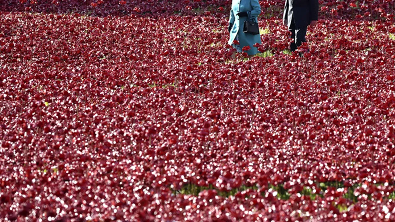 MEDIAFAX ZOOM: Pictures of the week, 13 - 19 octombrie 2014 - GALERIE FOTO