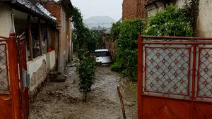 Sorina Pintea: A fost creat un comitet de criză la nivelul Ministerului Sănătăţii pentru problemele apărute în urma inundaţiilor