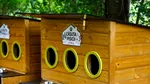 Primăria montează căsuțe pentru pisicile comunității în cartierele din Cluj-Napoca