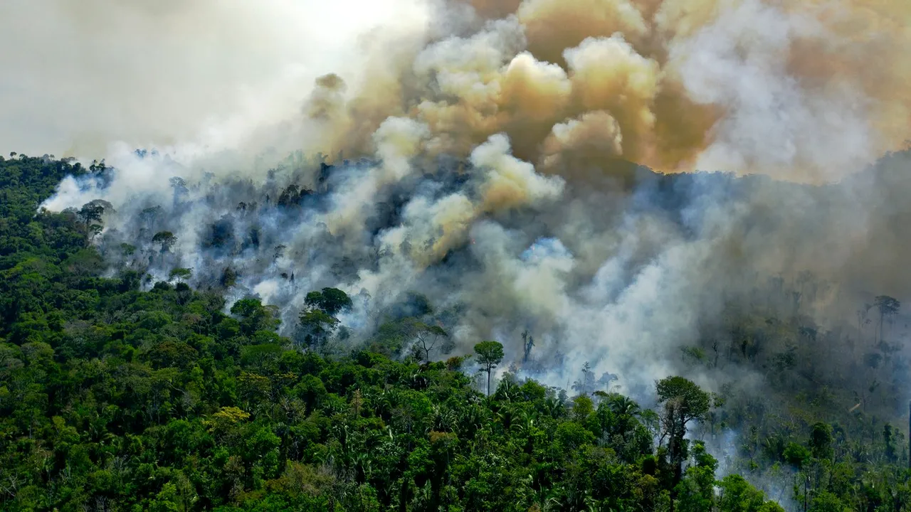 Pădurea tropicală amazoniană, aproape de punctul de a se tranforma în savană. Ce implicaţii aduce această schimbare