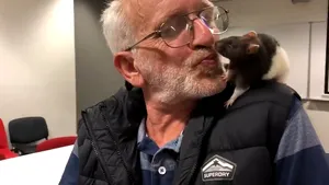 Un animal de campanie neobişnuit.  Poliţia a ajutat un om al străzii să-l regăsească şi a făcut apel pe Facebook pentru găsirea lui| VIDEO