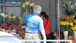 Toţi vânzătorii din piaţa de flori 