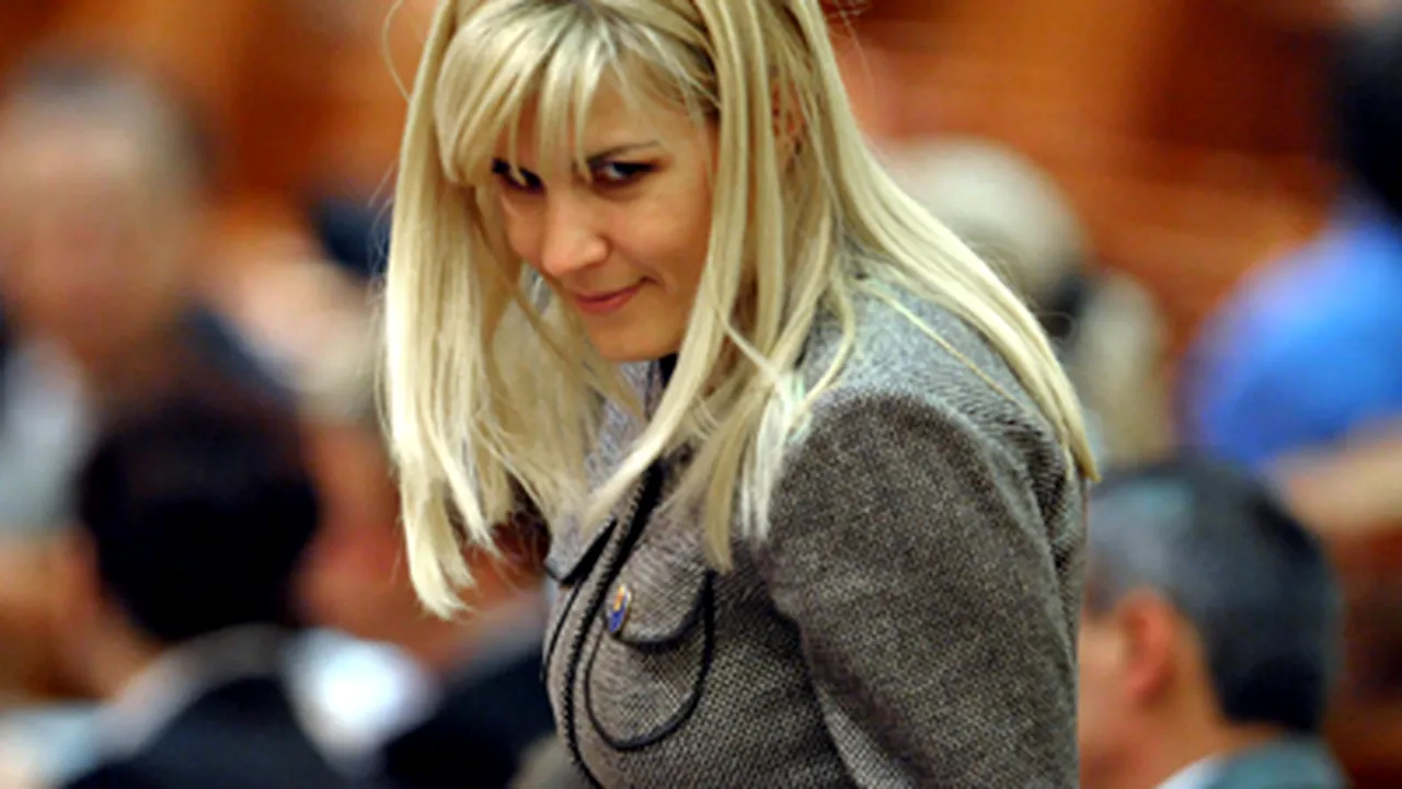 Udrea a depus la Cameră sesizarea corectată către Comisie, cerându-şi scuze
