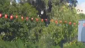 Manifestaţie spontană la Tunis, după atacul de la Muzeul Bardo