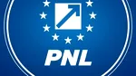 PNL acuză PSD de rea-credință: Ar fi trebuit să decidă privind Guvernul Mureșan după analizarea programului