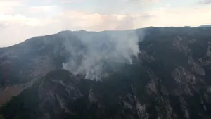 Incendiu în Parcul Naţional Domogled, din jud. Caraş-Severin, fiind afectate 15 hectare de litieră/ UPDATE: Focul a fost stins