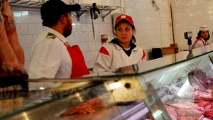 Carne de cal în loc de carne de vită vândută în măcelăriile din Piaţa Obor din Capitală