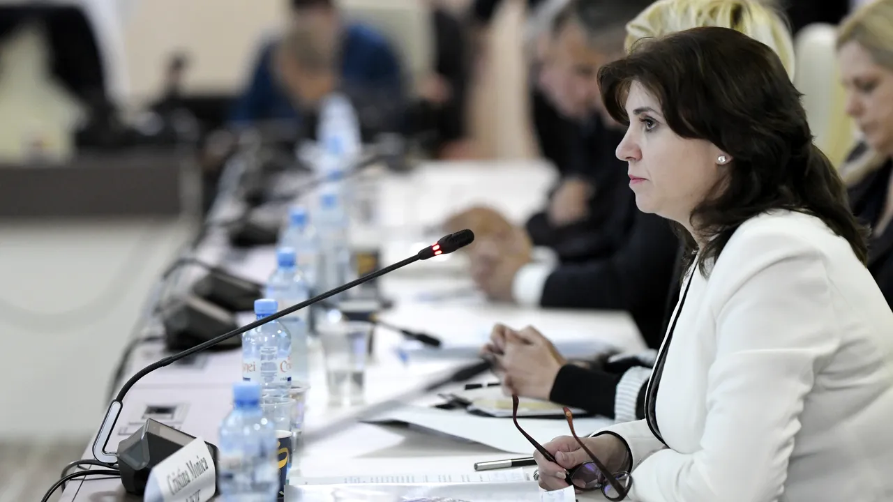 Ministerul Educaţiei a publicat peste 1.000 de teze de doctorat, din cele 7.000 promise de Anisie