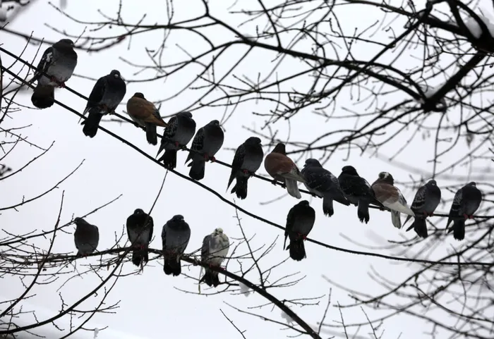 METEO Vremea în România până pe 23 martie: estimările ANM pentru următoarele patru săptămâni