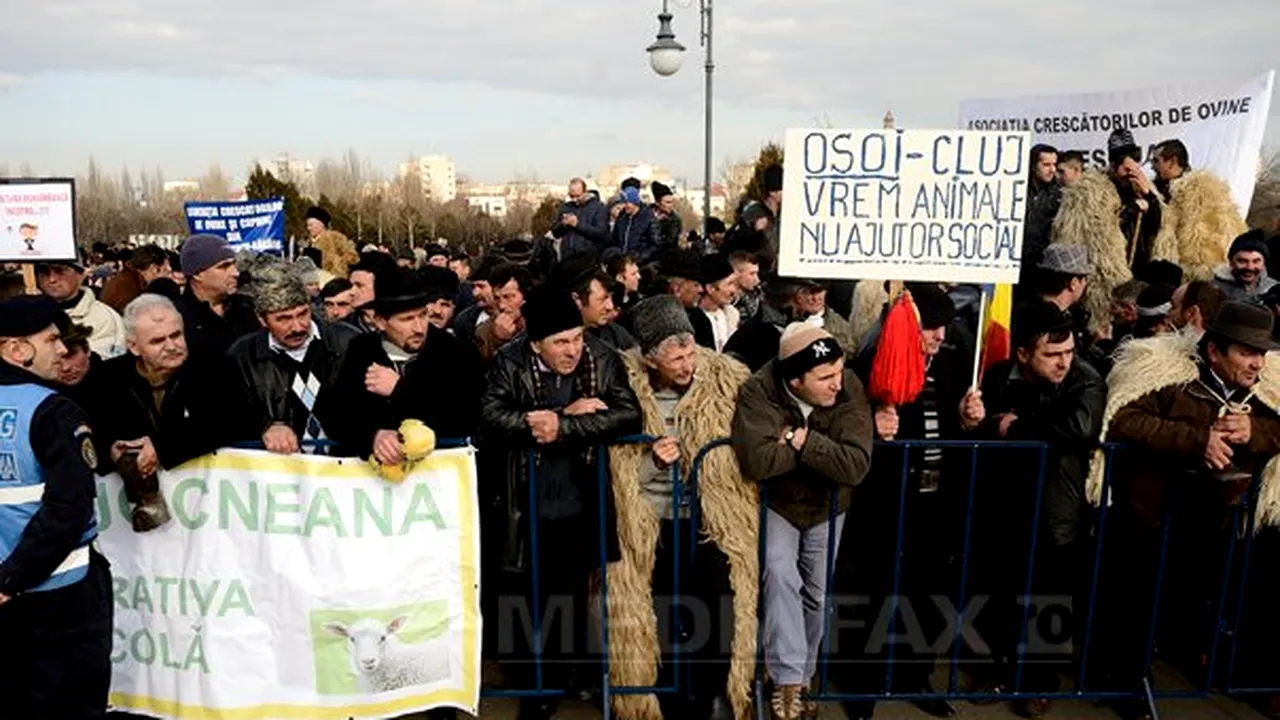 Irimescu spune că se ţine de promisiunile făcute ciobanilor: S-a renunţat la numărul de câini, deci poate fi oricât de mare