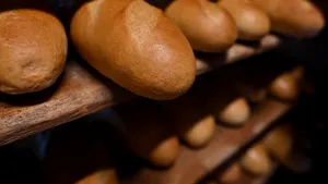 Una dintre cele mai mari fabrici de pâine din România, închisă de ANPC