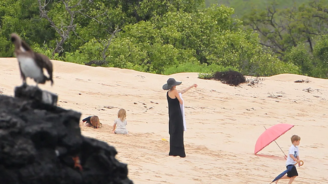 Familia Pitt-Jolie la plajă. Cum s-au distrat vedetele şi cei şase copii ai lor - GALERIE FOTO