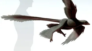 Scheletul unui dinozaur cu patru 