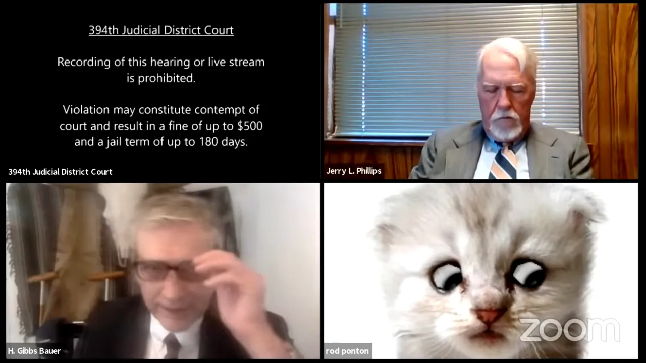 Gafa anului pe Zoom. În timpul unui proces din Texas un avocat a intrat în conferinţă cu un filtru de pisică, spre amuzamentul judecătorului