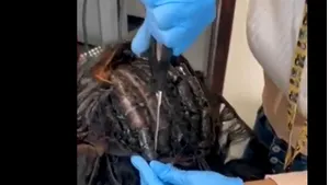 Coafura rezistă, dar nu şi în faţa poliţiştilor antidrog. Două femei, prinse cu cocaină în perucă VIDEO