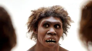 STUDIU: Omul de Neanderthal mânca şi materii vegetale