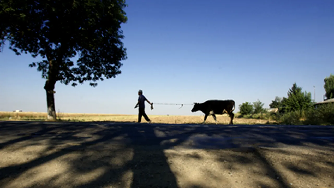 BM: Agricultura românească este fragmentată şi învechită