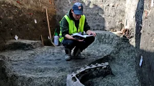 Fragmente din scheletul unui animal de talie marie, posibil o cămilă, descoperite la Timişoara - FOTO