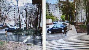 În Sectorul 5 spaţiul verde a fost betonat, iar copacii încadraţi în trotuar. Reacţia Gărzii de Mediu