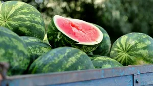 Soluţii de criză în pieţele ieşene: Producătorii de pepeni din Dăbuleni acceptă şi bonuri de masă