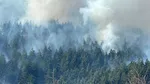Incendiu de vegetație într-o zonă greu accesibilă din Munții Rodnei