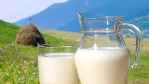 ANSVSA: Activitatea a 32 de automate de lapte alimentate de la ferme, suspendată