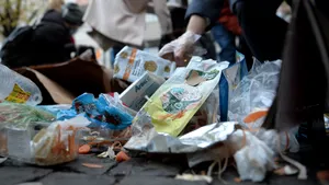 PSD cere în instanţă suspendarea stării de alertă din Sectorul 1: „Opriţi acest bâlci costisitor” / Clotilde Armand: „Instanţa mi-a dat dreptate”