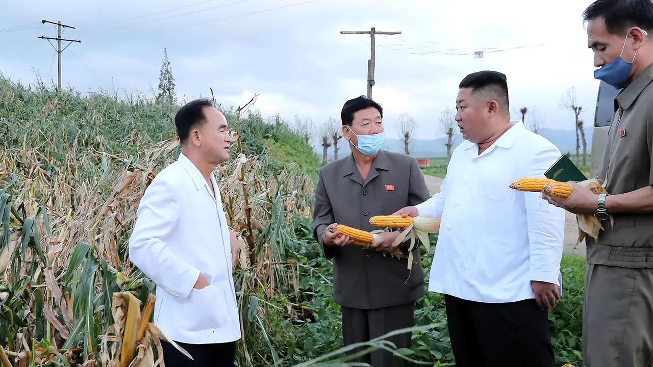Oficialii din Coreea de Nord 