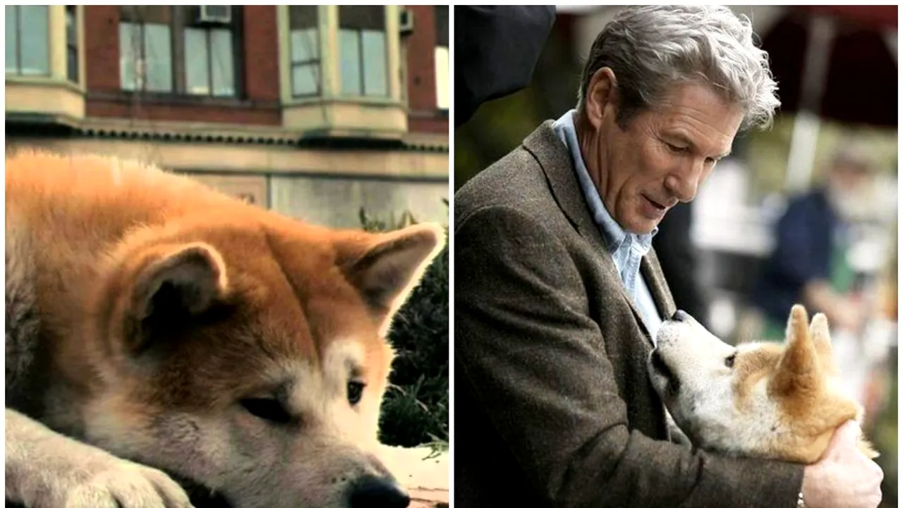 Emoţiile animalelor, similare celor umane. Filmul „Hachiko”, inspirat dintr-un caz real, oferă o lecţie de loialitate