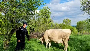 Pompierii din Mehedinţi, cu suflet mare. O adevărată bucurie făcută unei familii cu şase copii 