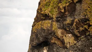 O stâncă din Islanda are forma unui elefant gigant. Formaţiunea geologică a devenit virală pe Twitter