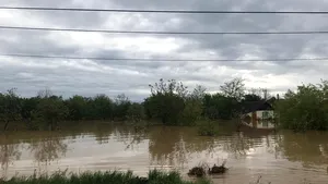 Cod roşu de inundaţii pentru un afluent al Crişului Alb, în judeţul Arad