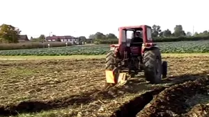 Veste bună pentru fermieri. Comisia Europeană prelungeşte termenul de depunere a cererilor de plată 