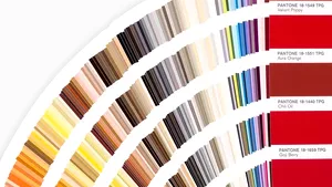 Care este culoarea anului 2020. Nuanţa anticipează „ce va aduce viitorul”