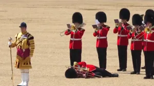 Gărzi regale s-au prăbuşit de căldură în timpul unei parade pentru Prinţul William