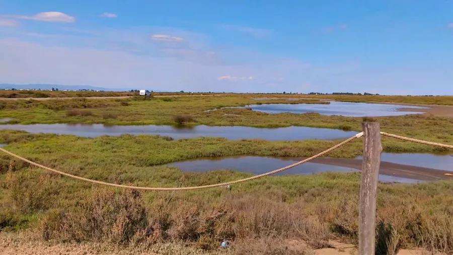 parcul-natural-delta-ebrului-paradisul-cu-flamingo-si-culturi-de-orez-intre-fluviu-mare-si-traditie