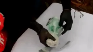 Reţea de trafic de droguri, destructurată la Suceava. Poliţiştii au găsit sute de pastile de ecstasy