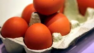 Două treimi din ouăle produse în România sunt de la găini crescute în baterii