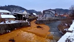 Avertisment. Poluarea de pe râul Băiţa a ajuns în Someş şi se află la graniţa cu Ungaria (VIDEO)