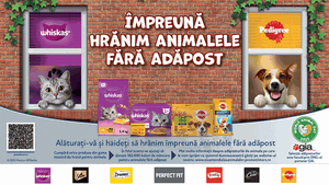 Mars sărbătoreşte Ziua Mondială a Animalelor şi încurajează adopţiile de căţei şi pisici