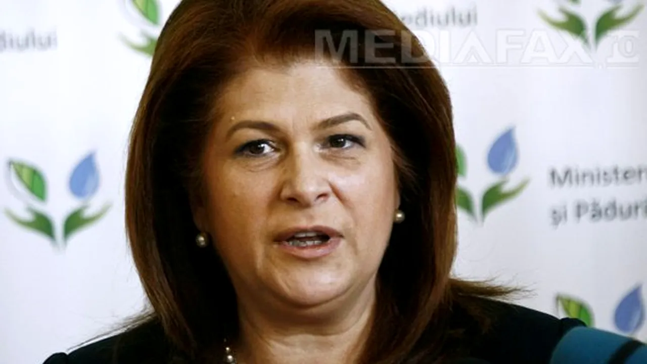 Rovana Plumb: Hărţile de hazard la inundaţii, finalizate în acest an