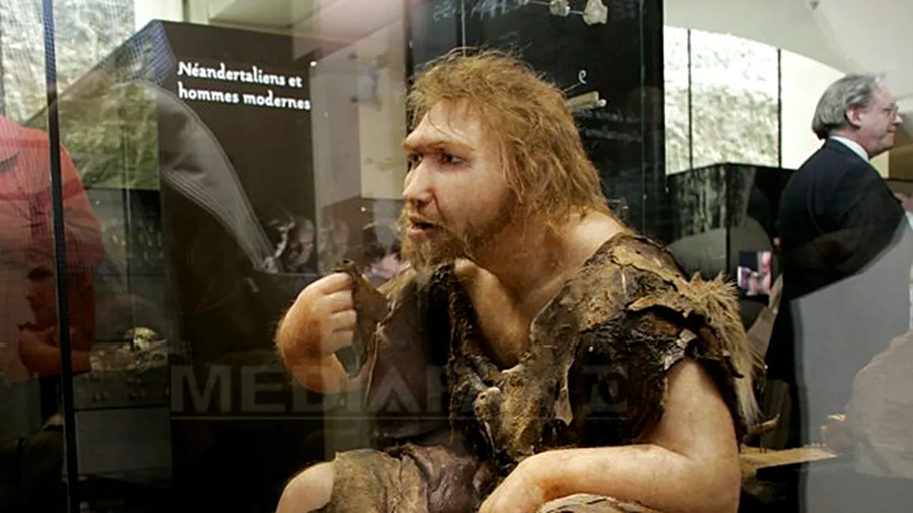 Omul modern a moştenit gene neanderthaliene 