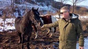 GALERIE FOTO Un belgian a renunţat la postul din multinaţională pentru a promova turismul în Transilvania